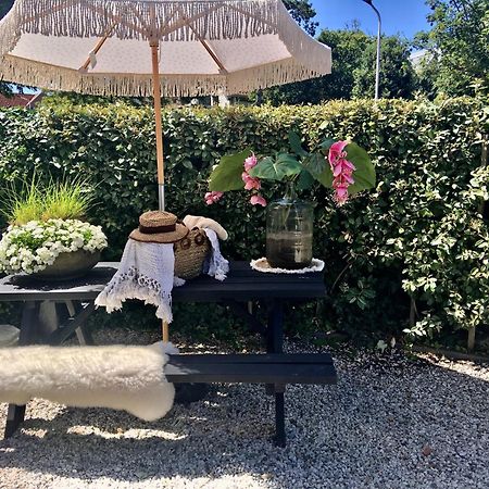 Vakantiehuis De Zeeparel Zandvoort Ngoại thất bức ảnh